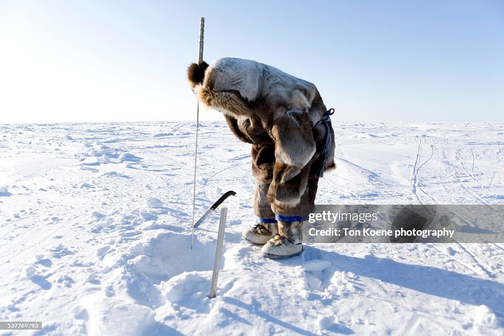 Inuit man is seal huning