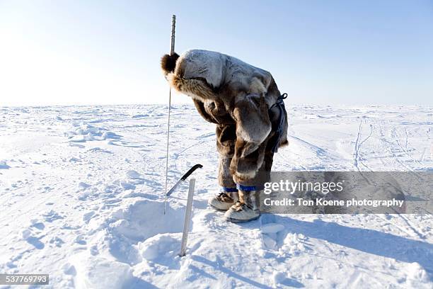 inuit man is seal huning - eskimo stock pictures, royalty-free photos & images