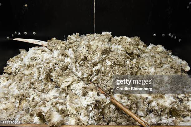 Wool Hay 106 Hay Bales New Zealand Stock Photos, High-Res Pictures, and Images ...