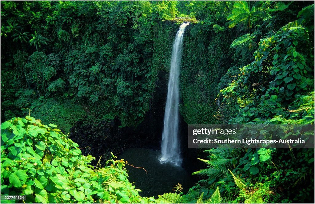 Fuipusia waterfall, The Island of Upolu, Western Samoa.