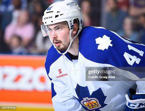 Justin Holl of the Toronto Marlies prepares for a face-off against the Hershey Bears during AHL Eastern Conference Final playoff game action on May...