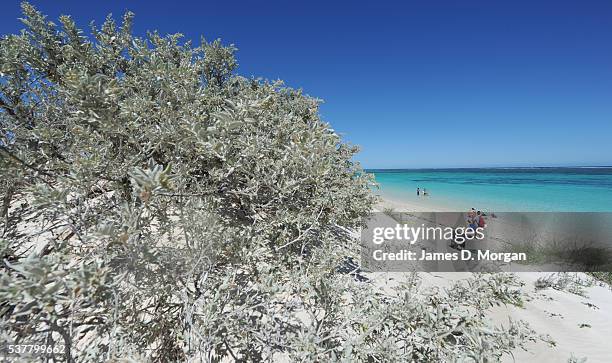 Ningaloo Reef near Exmouth on April 2, 2012 in Western Australia.