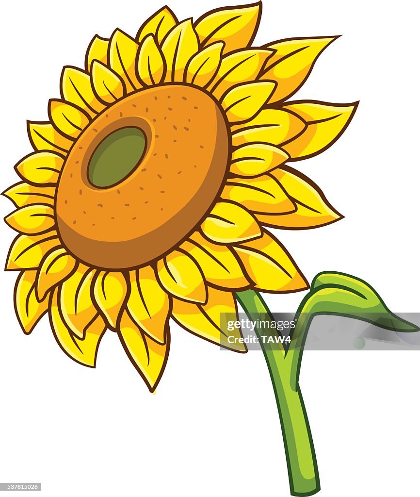 Sunflower Cartoon Style High-Res Vector Graphic - Getty Images