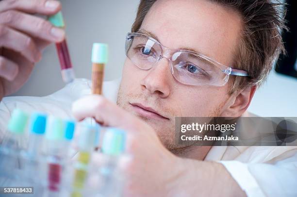 scientist comparing results - biochemist stock pictures, royalty-free photos & images