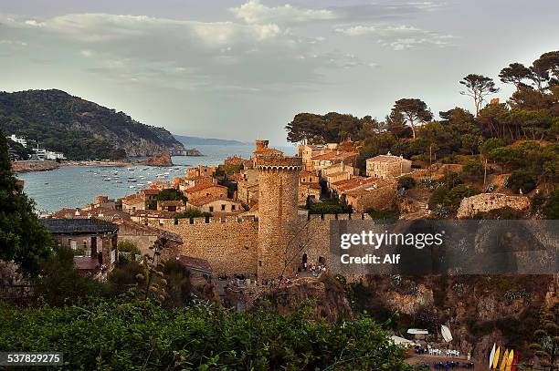 Toosa 52 Es Codolar Stock Photos, High-Res Pictures, and Images - Getty Images