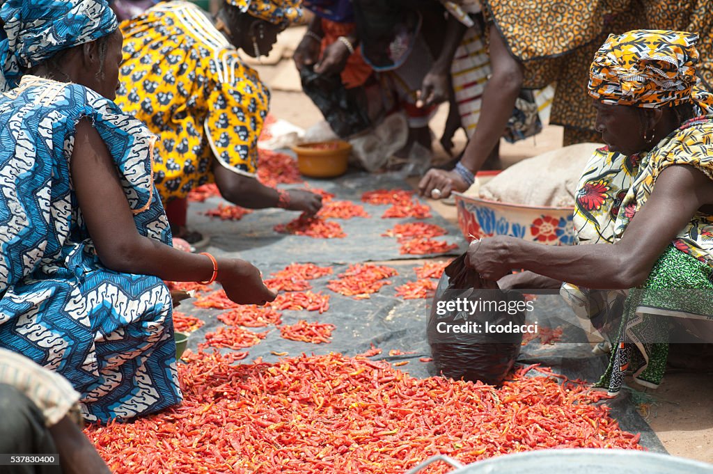 Black african people gathering and preparing food for market