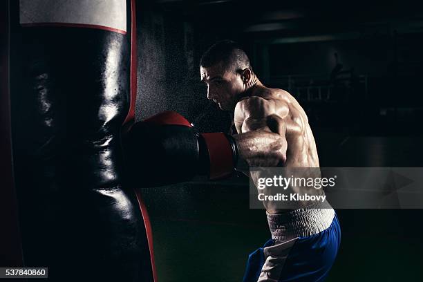 boxer training with a punching bag - boxing training stock pictures, royalty-free photos & images