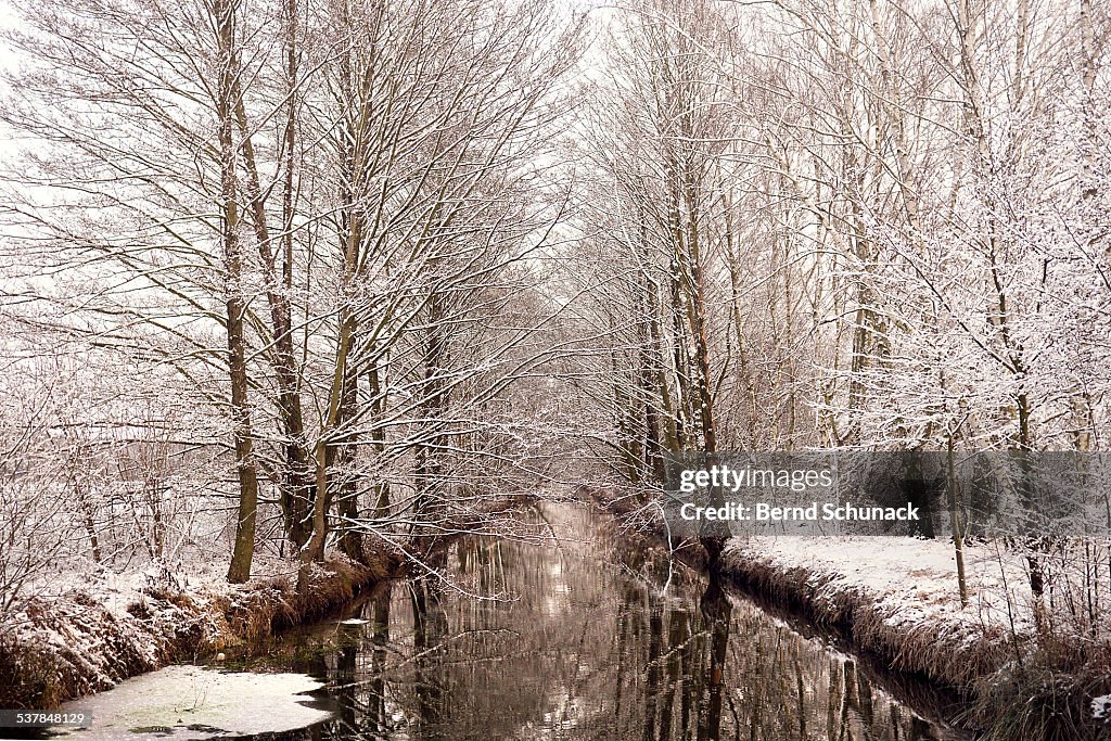 Snow Coated Trees In Spreewald