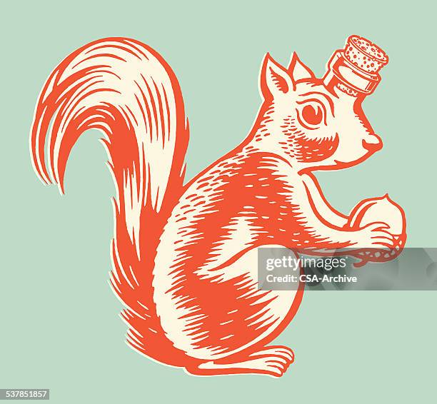 squirrel bottle - squirrels stock illustrations