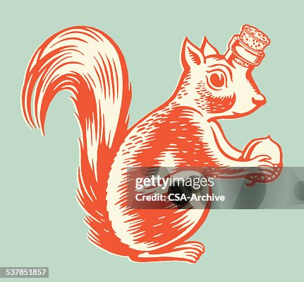 Squirrel Bottle Squirrel Bottle