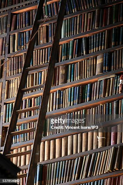 General view of the Long Room in the Trinity College Library, the largest library in Ireland on April 19, 2016 in Dublin, Ireland. Illustrative...
