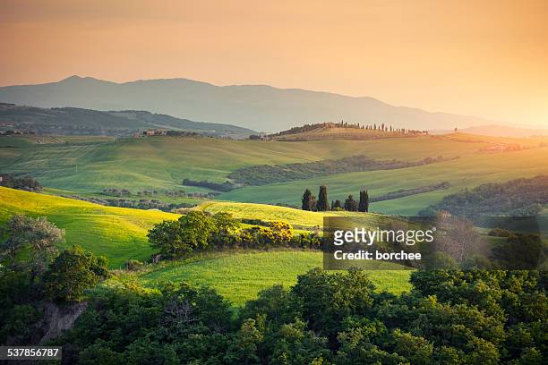 rolling tuscany landscape - hill stock pictures, royalty-free photos & images