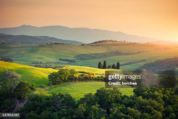 rolar paisagem toscana - toscana imagens e fotografias de stock