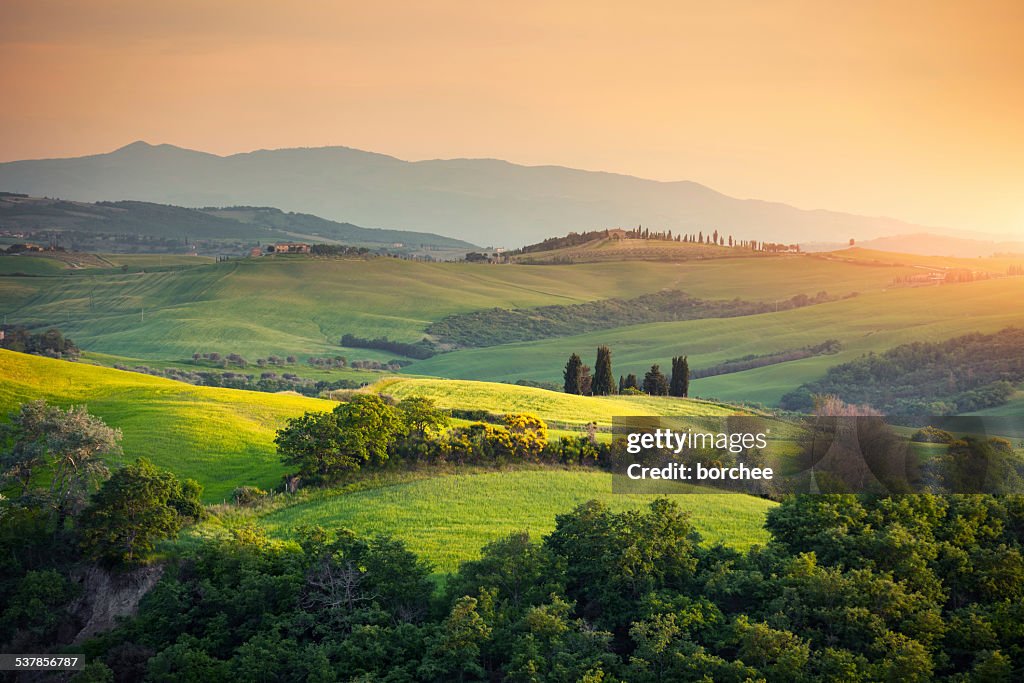 Rolling Tuscany Landscape