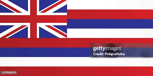 flag of hawaii - hawaii flag 幅插畫檔、美工圖案、卡通及圖標