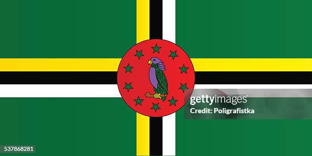 stockillustraties, clipart, cartoons en iconen met flag of dominica - dominica