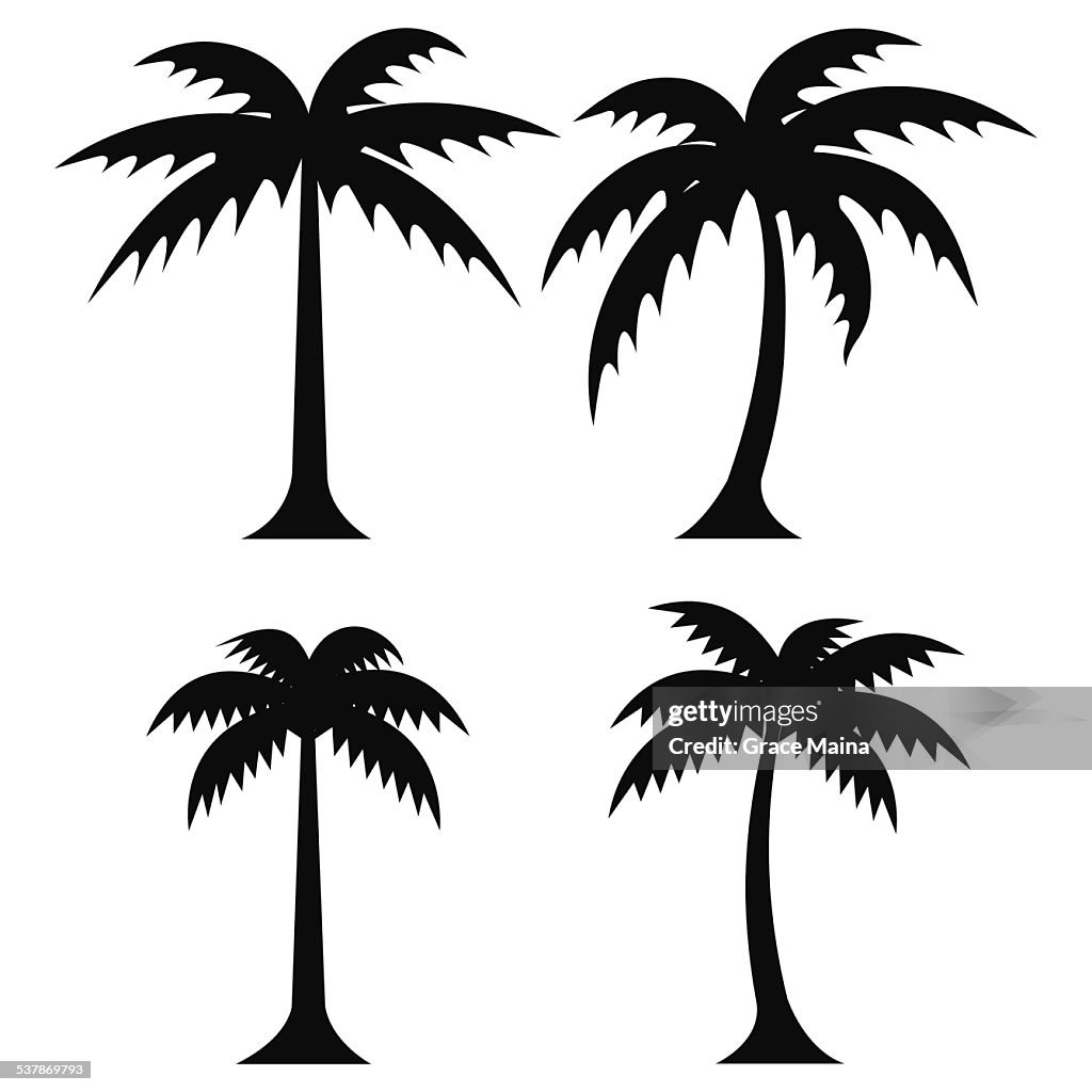 Parm Tree Vector Simple Palm Tree Vector