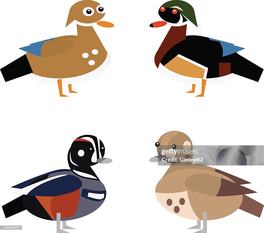 Duck Page