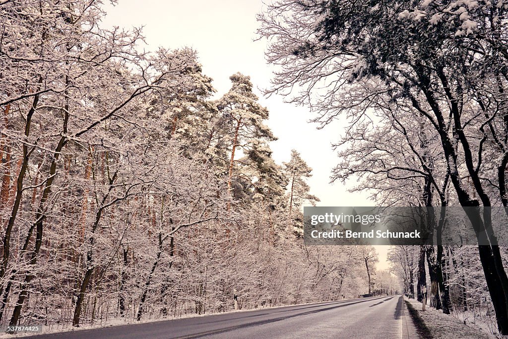 Winter Road