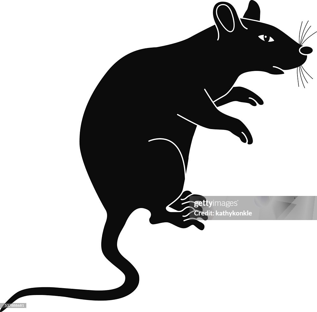 Mouse side view in black and white
