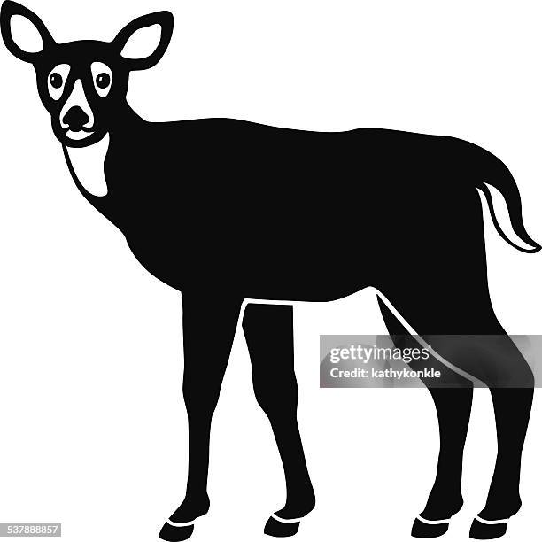 white tailed deer in black and white - white tailed deer stock illustrations
