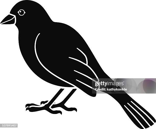 Generic Burd Black Bird Cartoon Photos and Premium High Res Pictures - Getty Images