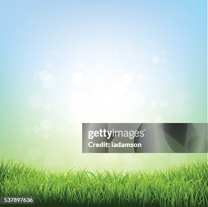 Spring Grass Rgb Spring Grass High-Res Vector Graphic - Getty Images