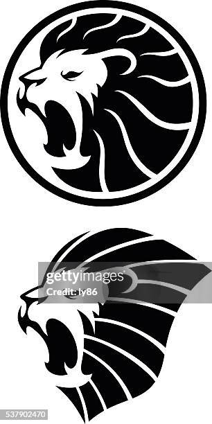 lion - tiger face stock illustrations