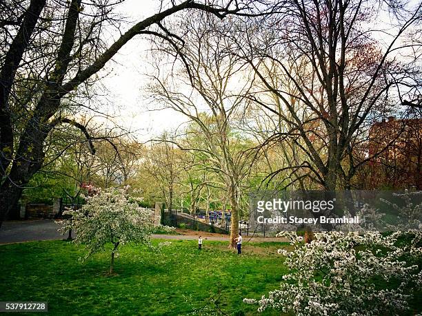 a father and son play catch in new york city's riverside park during springtime - riverside park manhattan stock pictures, royalty-free photos & images