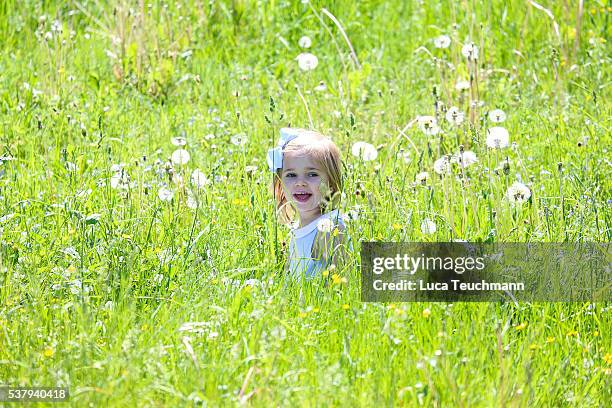 Princess Leonore of Sweden is seen visiting the stables on June 3, 2016 in Gotland, Sweden. Duchess Leonore will meet her horse Haidi of Gotland for...