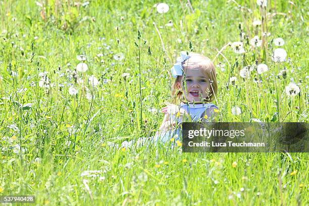 Princess Leonore of Sweden is seen visiting the stables on June 3, 2016 in Gotland, Sweden. Duchess Leonore will meet her horse Haidi of Gotland for...