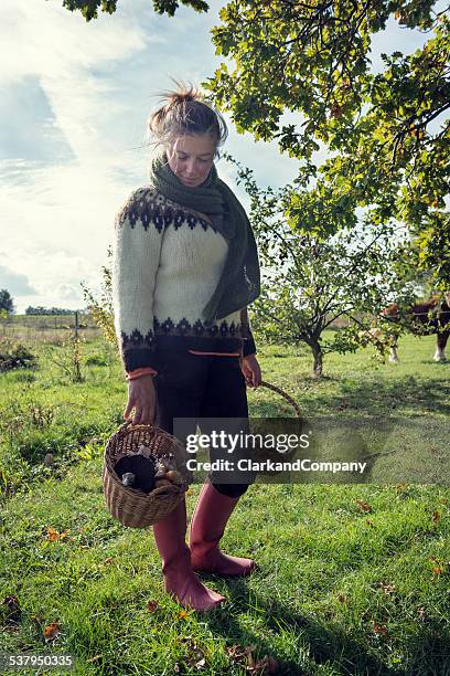 Worker Forager 119 Forage Bag Stock Photos, High-Res Pictures, and Images - Getty Images