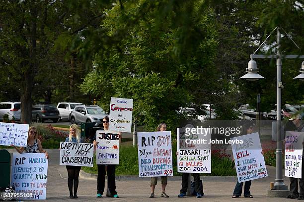 More than 20 protesters hold up signs during a vigil June 3 2016 at the Denver Zoo. This is in remembrance of Harambe, a 17-year old endangered...