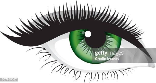 female eye - eyelash stock illustrations