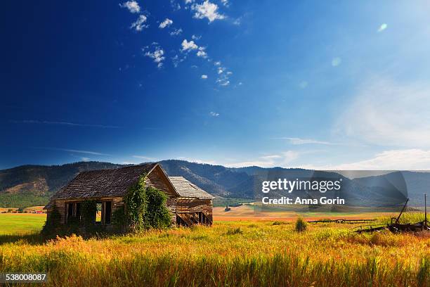 abandoned wood house in swan valley, idaho - swan valley stock pictures, royalty-free photos & images