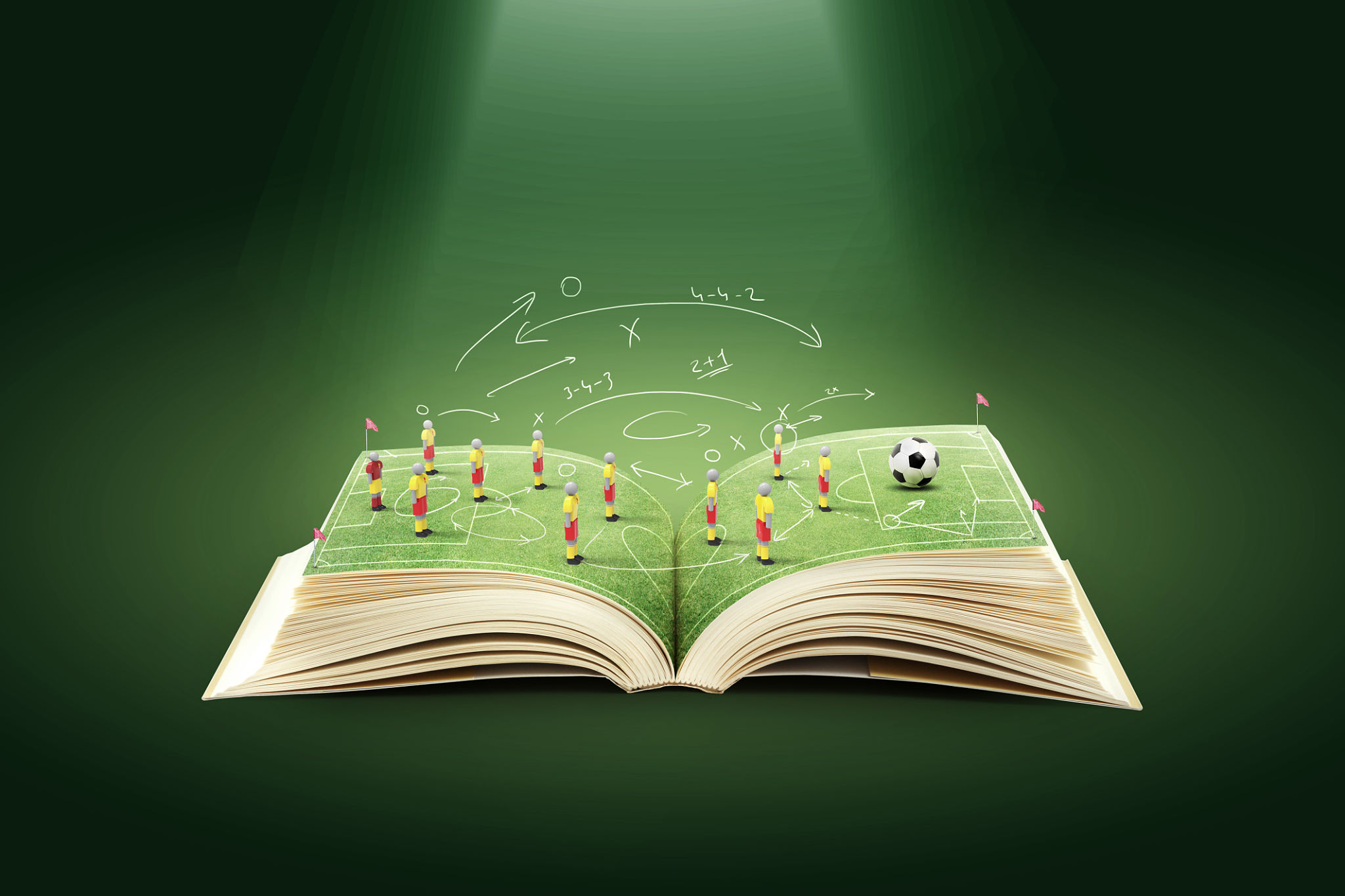 sports books