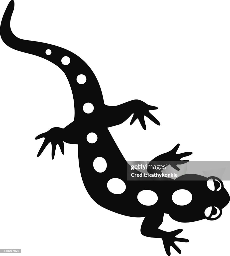 Vektor-salamander in schwarz und weiß