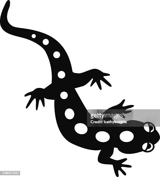 ilustraciones, imágenes clip art, dibujos animados e iconos de stock de salamandra vector en blanco y negro - salamandra