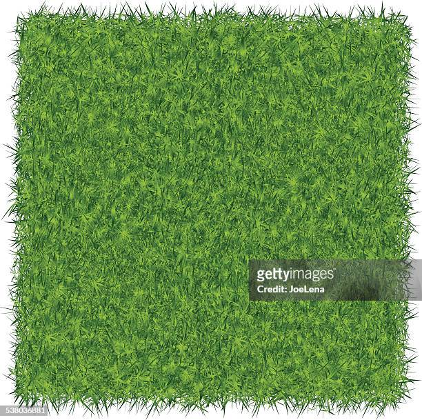 illustrazioni stock, clip art, cartoni animati e icone di tendenza di sfondo verde erba - grass