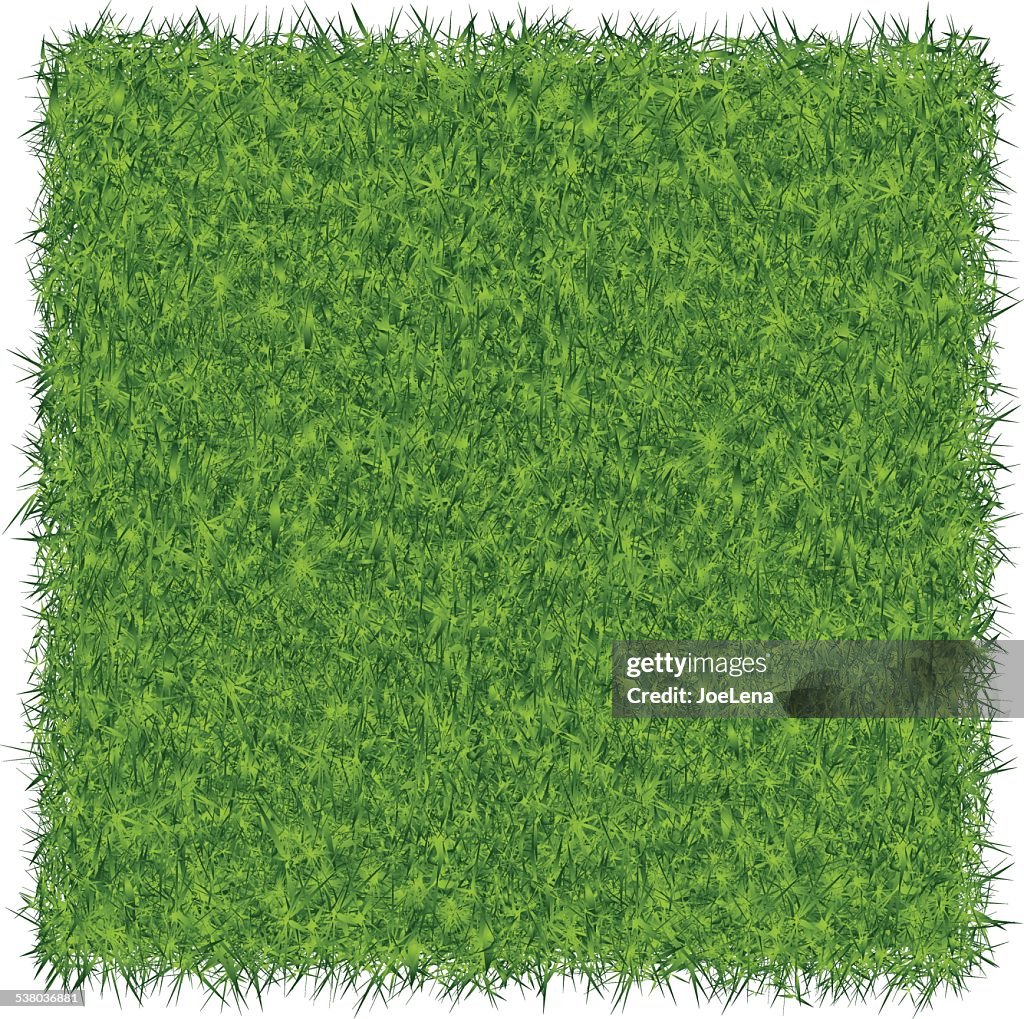 Green Grass Background