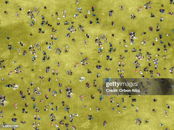 people sunbathing in central park - aerial park stockfoto's en -beelden