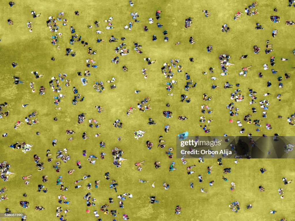 People sunbathing in Central Park