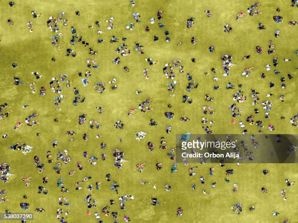 people sunbathing in central park - aerial view stock pictures, royalty-free photos & images