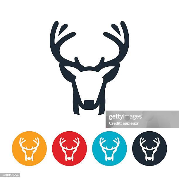 stockillustraties, clipart, cartoons en iconen met buck mule deer - stag