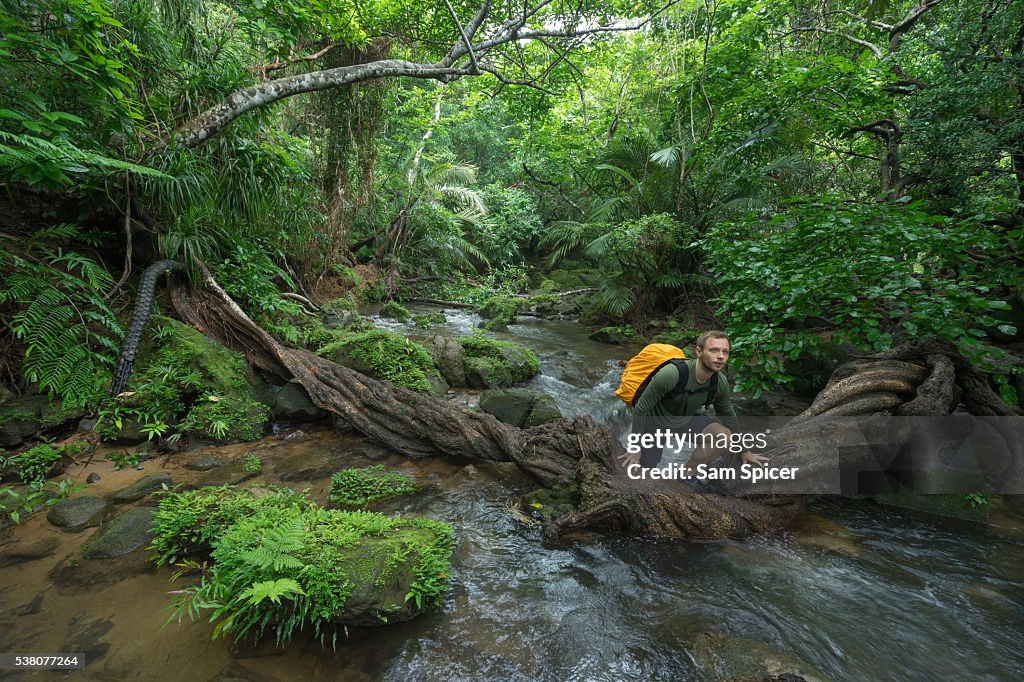 Man trekking through dense tropical Jungle scenery