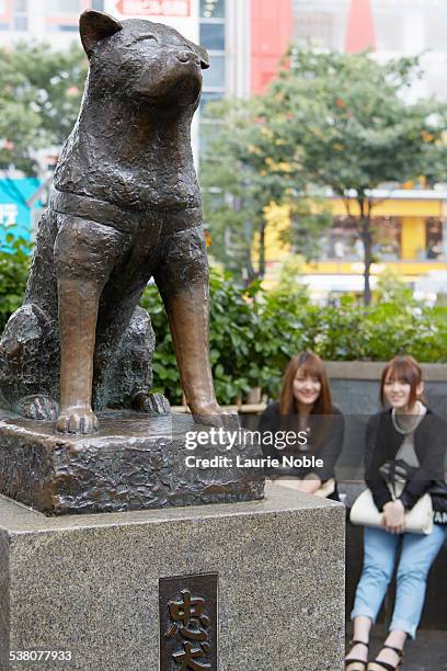 151 Shibuya Hachiko Statue Stock Photos, High-Res Pictures, and