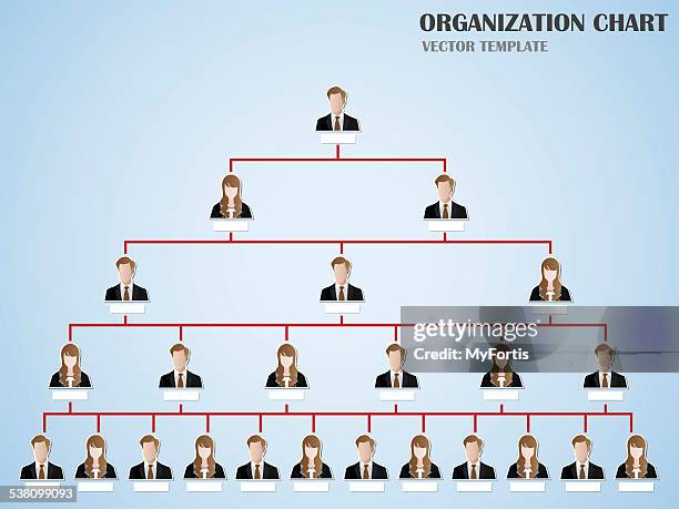 Organisation Tree Tree Diagram Template Photos and Premium High Res Pictures - Getty Images