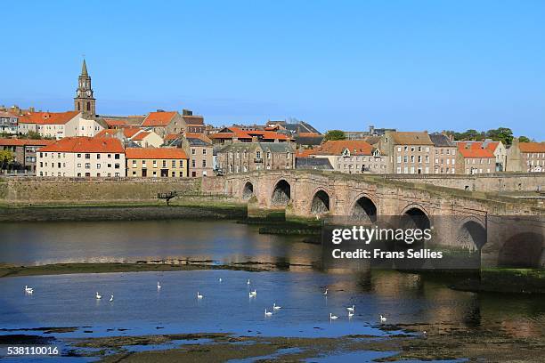 view of berwick-upon-tweed, england - berwick upon tweed stock pictures, royalty-free photos & images