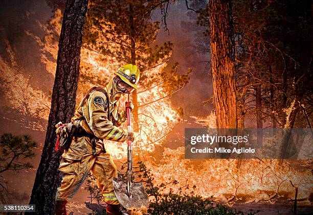 firefighter working on forest fire - mike agliolo imagens e fotografias de stock