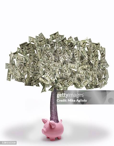 money tree growing from piggy bank - mike agliolo imagens e fotografias de stock